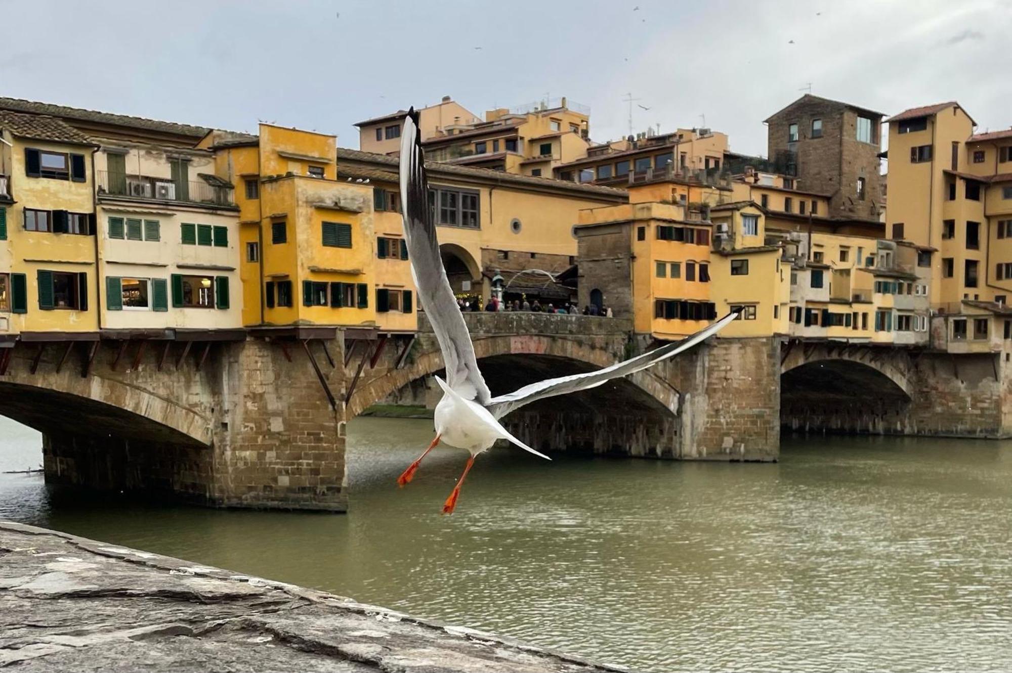 Vintage Apartments In The Heart Of Florenz Exterior foto
